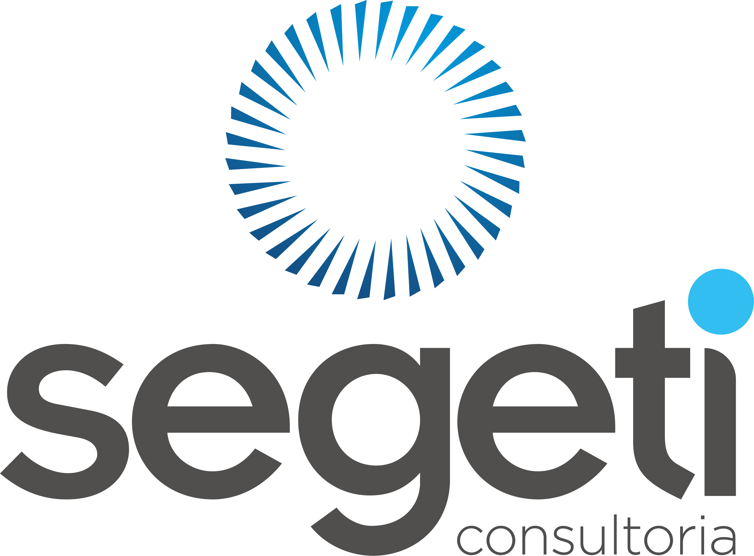 SEGETI CONSULTORIA
